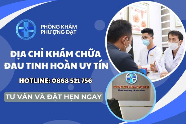 Địa chỉ khám chữa đau tinh hoàn ở Huyện Vân Canh an toàn – uy tín
