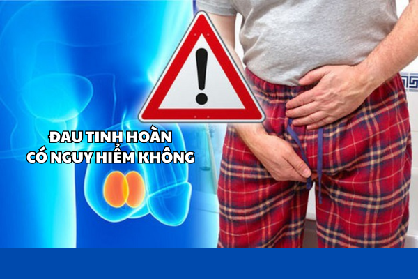 Đau tinh hoàn có nguy hiểm không?