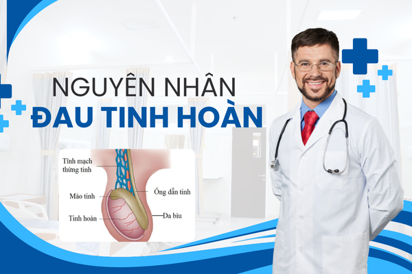 Các nguyên nhân gây đau tinh hoàn