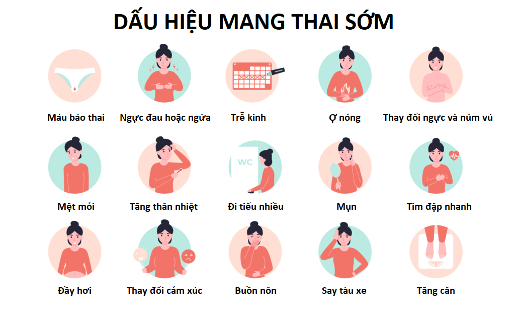 Dấu hiệu mang thai sớm ở phụ nữ